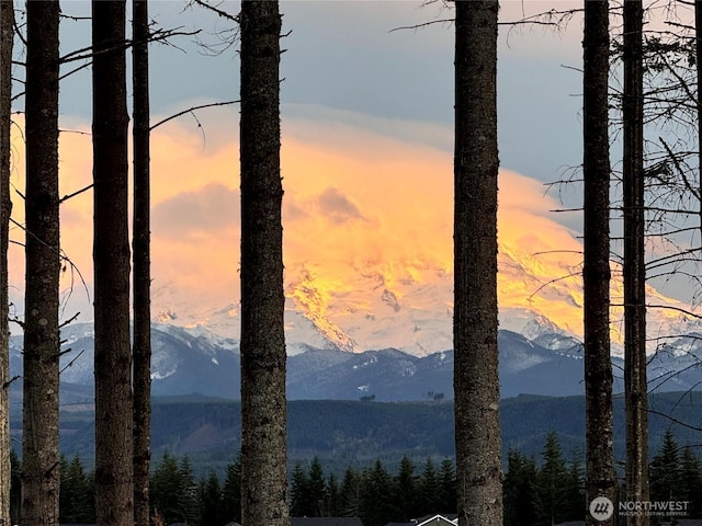 15255 201st Ave E, Bonney Lake, WA 98391 - view of mountain background