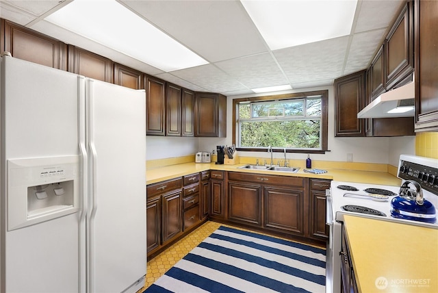 kitchen with white appliances, a sink, under cabinet range hood, light countertops, and a drop ceiling