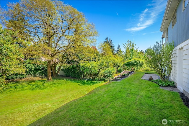 view of grassy yard