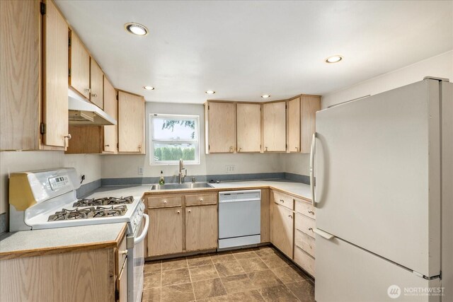 kitchen featuring light brown cabinetry, a sink, light countertops, under cabinet range hood, and white appliances