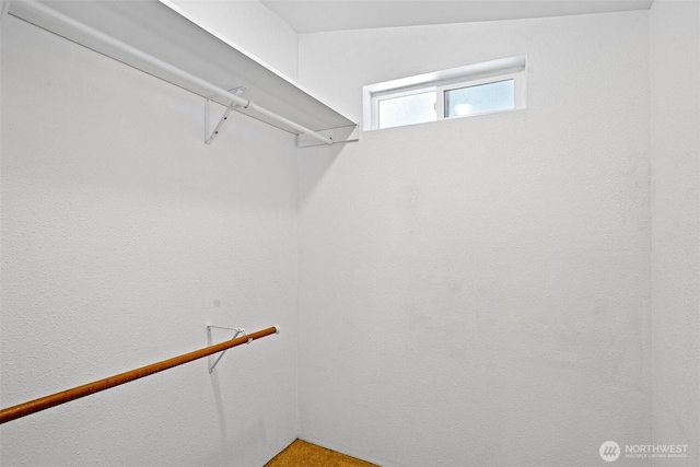 view of spacious closet