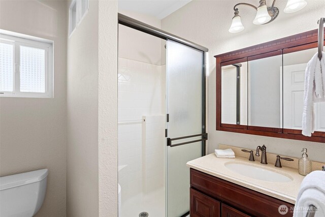 bathroom with a shower stall, toilet, and vanity