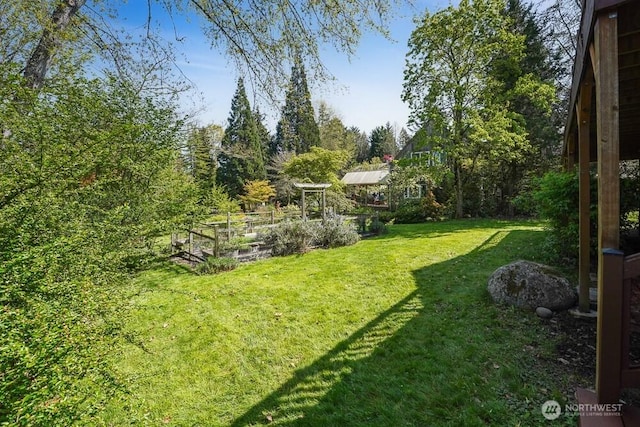 view of yard with a vegetable garden