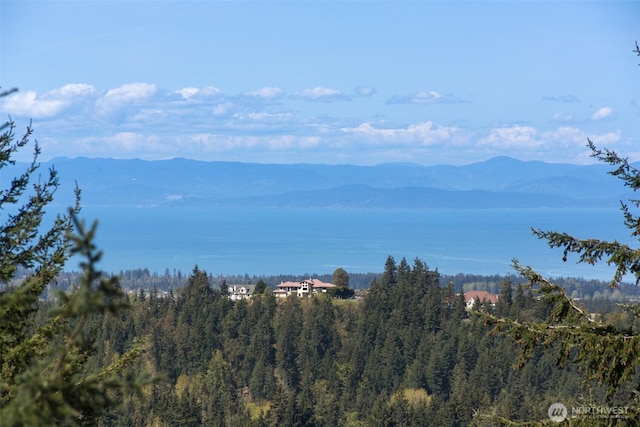 581 Harbor View Dr, Port Angeles, WA 98363 - property view of mountains featuring a view of trees
