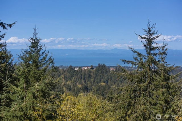 581 Harbor View Dr, Port Angeles, WA 98363 - property view of mountains featuring a wooded view