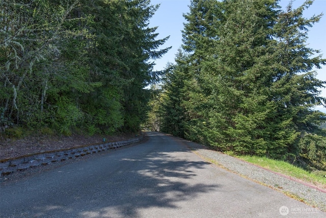 581 Harbor View Dr, Port Angeles, WA 98363 - view of street with a forest view