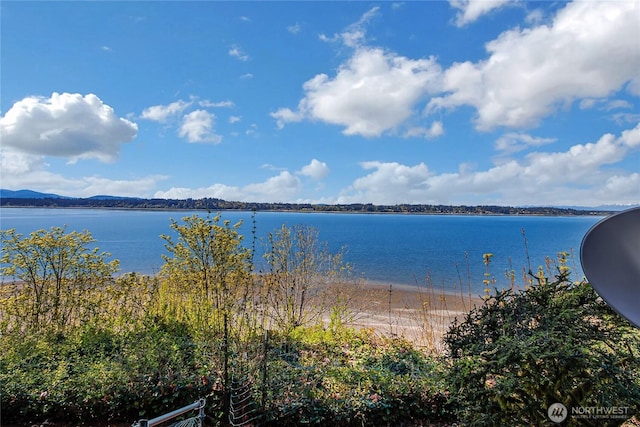 water view