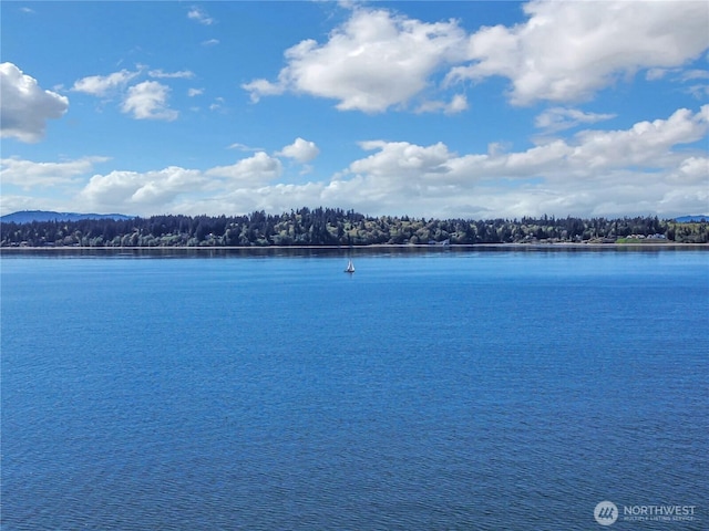 property view of water