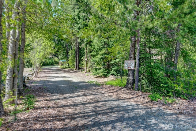 251 Kachess River Rd, Easton, WA 98925 - view of street featuring a wooded view