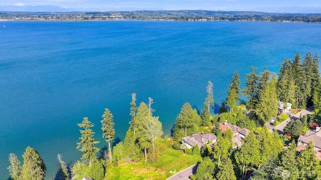 5414 Night Heron Dr, Blaine, WA 98230