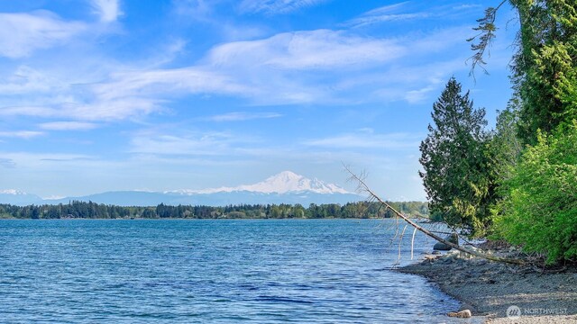 5414 Night Heron Dr, Blaine, WA 98230