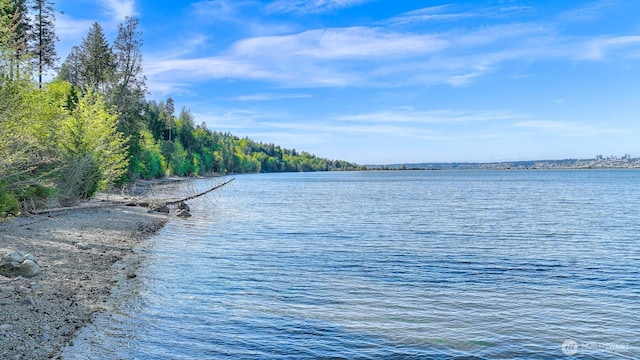5414 Night Heron Dr, Blaine, WA 98230