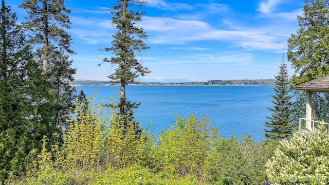 5414 Night Heron Dr, Blaine, WA 98230