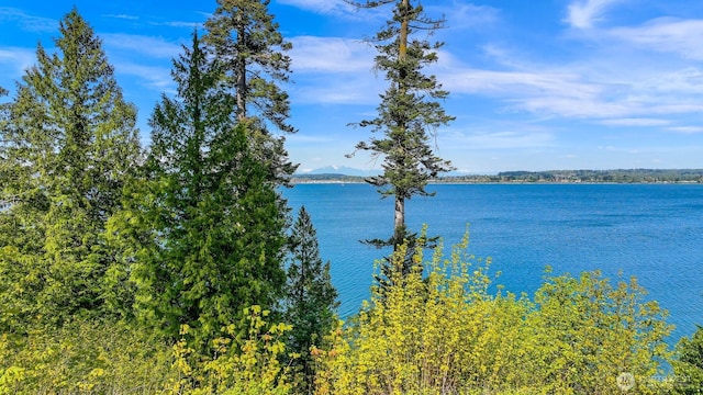 5414 Night Heron Dr, Blaine, WA 98230