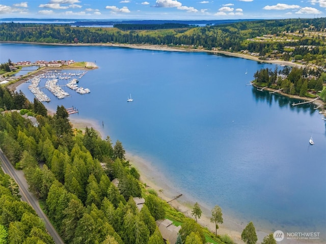 drone / aerial view with a water view and a view of trees