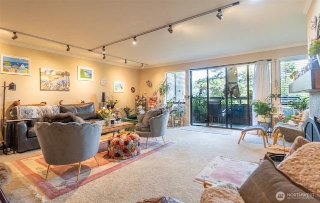 living area with rail lighting, a healthy amount of sunlight, carpet flooring, and ornamental molding