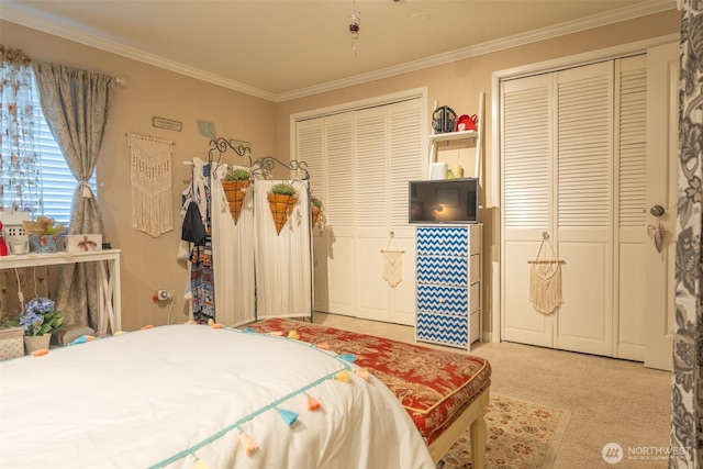 carpeted bedroom featuring ornamental molding and multiple closets