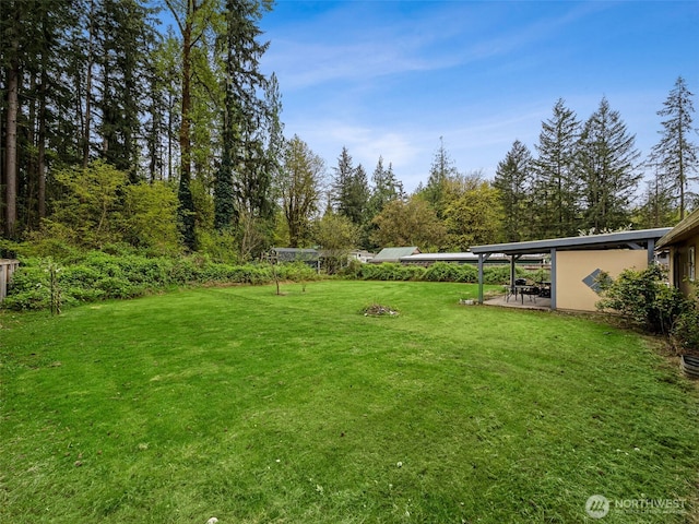 view of yard with a patio area
