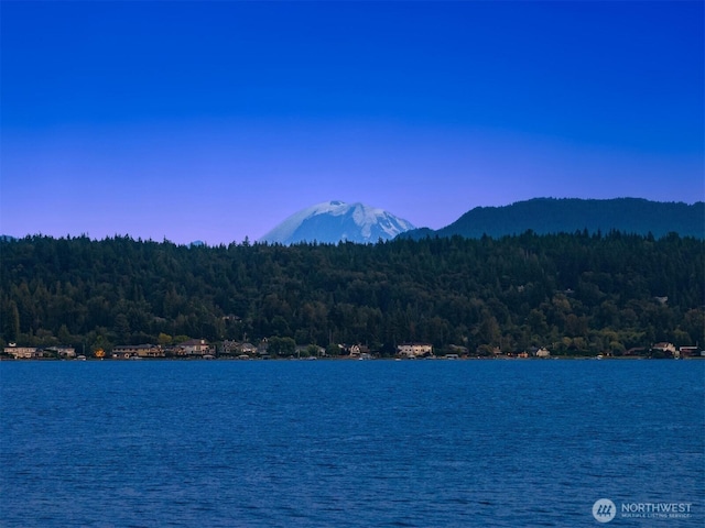 water view with a wooded view and a mountain view