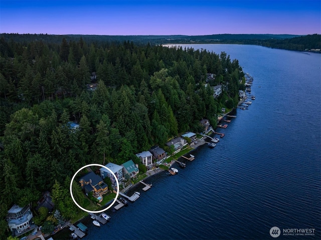 aerial view featuring a water view and a forest view