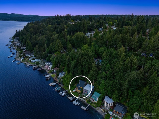 aerial view at dusk with a water view and a view of trees
