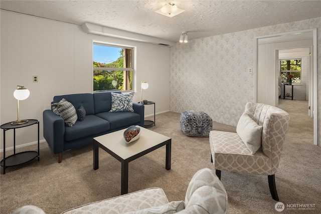 6743 40th Ave SW, Seattle, WA 98136 - living area featuring carpet and a textured ceiling