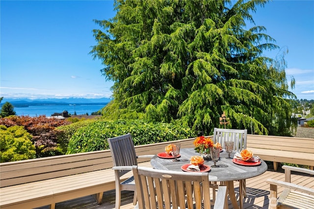 6743 40th Ave SW, Seattle, WA 98136 - deck with a water view