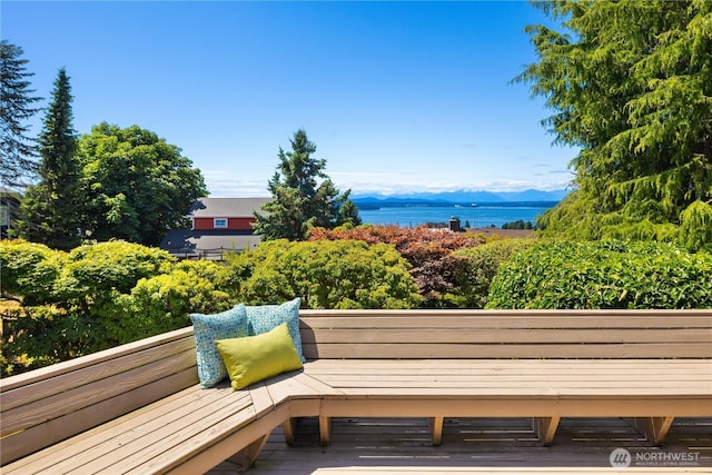 6743 40th Ave SW, Seattle, WA 98136 - deck with a water and mountain view