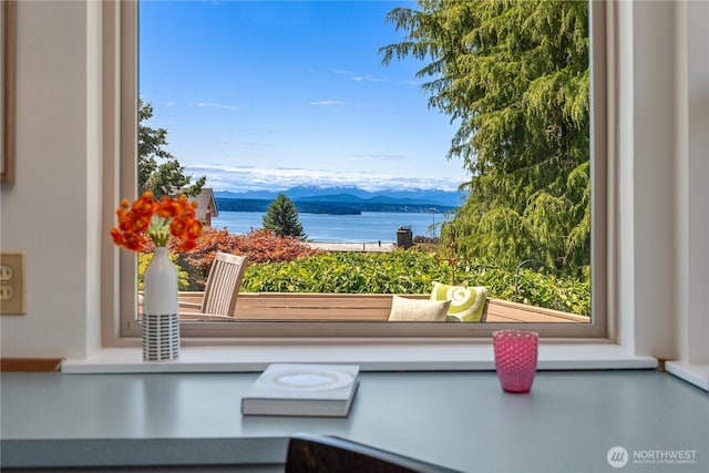6743 40th Ave SW, Seattle, WA 98136 - water view