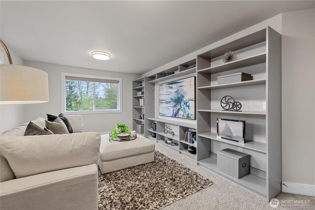 view of carpeted living area