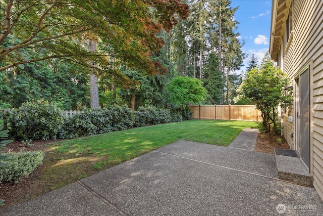 view of yard featuring a patio area