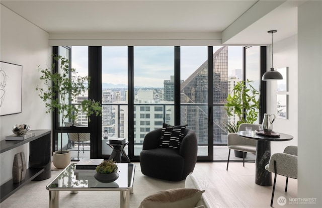 living area featuring a city view, a healthy amount of sunlight, and a wall of windows
