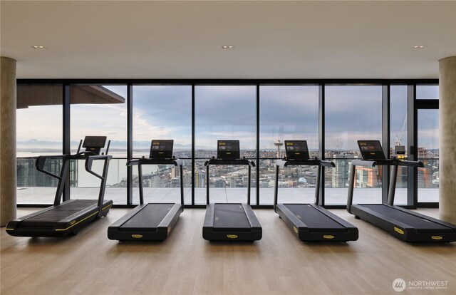 gym featuring floor to ceiling windows, a city view, and wood finished floors