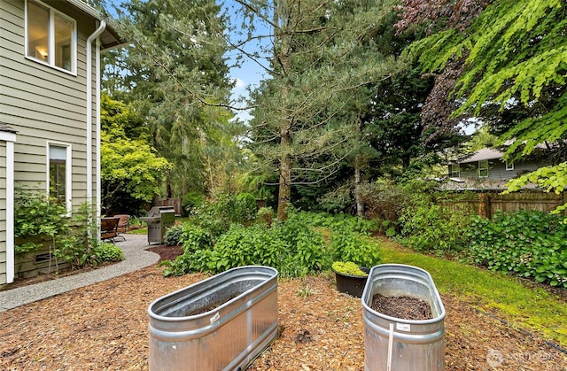 view of yard with a patio area and fence