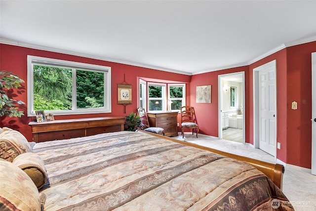 carpeted bedroom with crown molding, baseboards, multiple windows, and ensuite bathroom