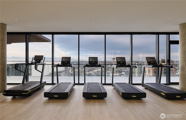 gym featuring floor to ceiling windows, a city view, and wood finished floors