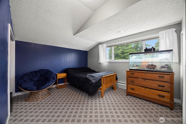 4130 Lakeway Dr, Bellingham, WA 98229 - bedroom featuring a textured ceiling, vaulted ceiling, and a baseboard radiator