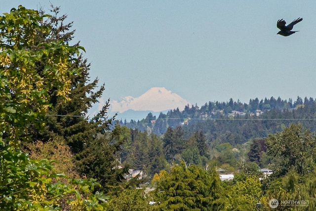 view of mountain background with a heavily wooded area