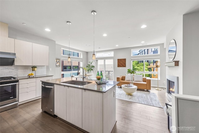 2055 NW Talus Dr Unit 3, Issaquah, WA 98027 - kitchen featuring a sink, appliances with stainless steel finishes, dark wood finished floors, modern cabinets, and a glass covered fireplace