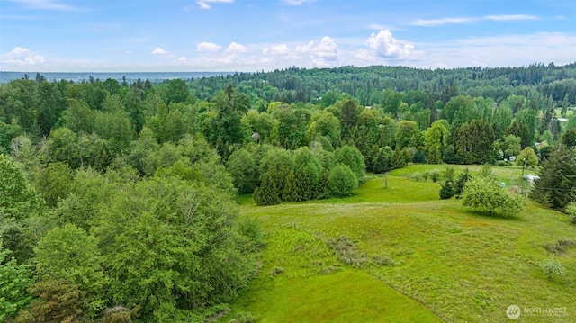 17613 Butler Rd, Snohomish, WA 98290 - bird's eye view of a heavily wooded area and a large body of water