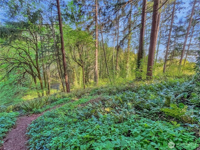 view of nature with a wooded view