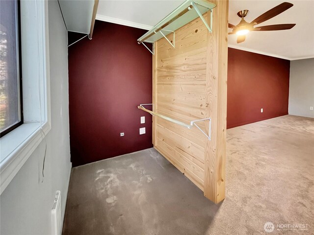 walk in closet featuring a ceiling fan and carpet