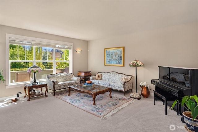 living room featuring carpet