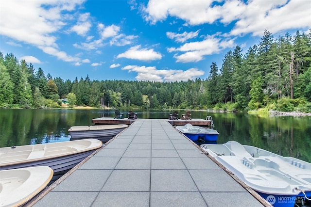 1546 Reservation Rd SE Unit 253, Olympia, WA 98513 - dock area with a water view and a forest view