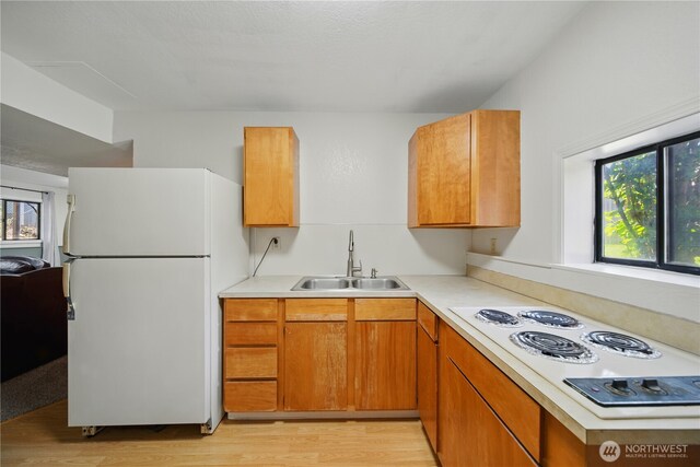 kitchen with white appliances, light countertops, a sink, and light wood-type flooring