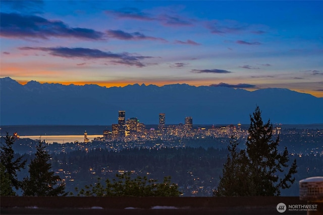 5310 143rd Ave SE, Bellevue, WA 98006 - mountain view