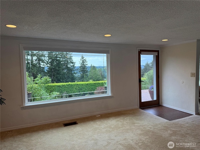 21926 Vashon Hwy SW, Vashon, WA 98070 - carpeted empty room with healthy amount of natural light, baseboards, a textured ceiling, and recessed lighting