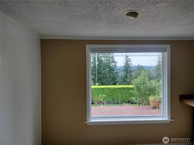 21926 Vashon Hwy SW, Vashon, WA 98070 - detailed view of a textured ceiling