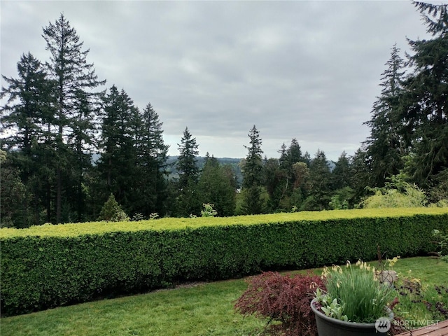 21926 Vashon Hwy SW, Vashon, WA 98070 - view of yard