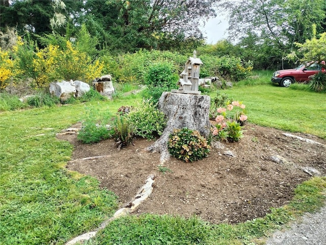 21926 Vashon Hwy SW, Vashon, WA 98070 - view of grassy yard